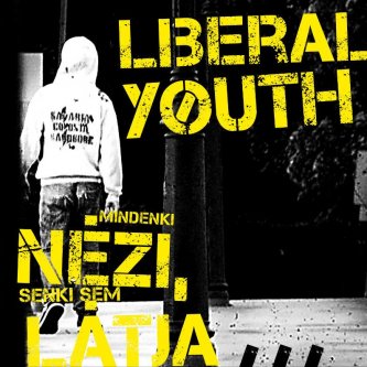 Liberal Youth 2011 cover