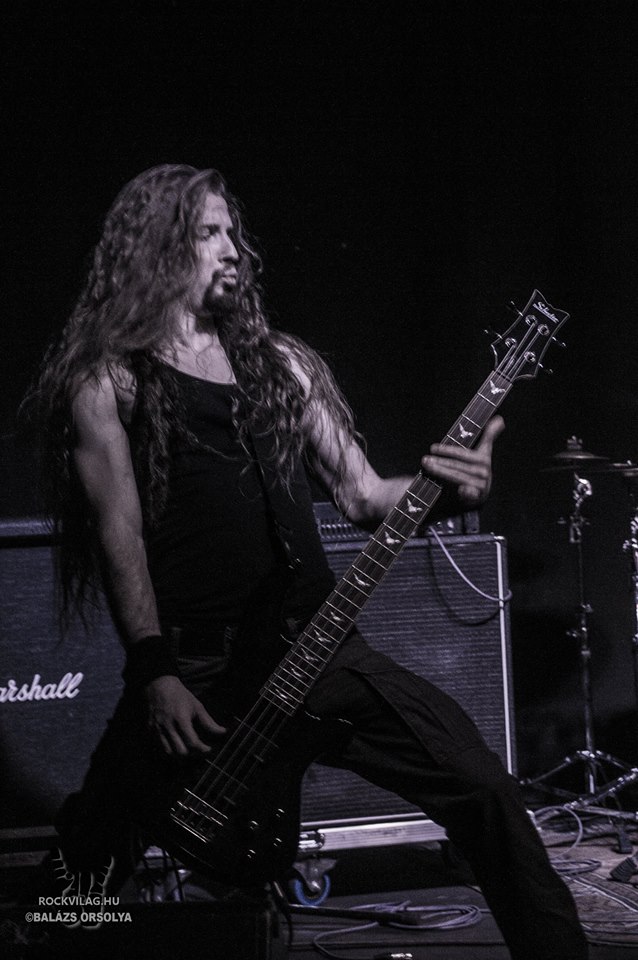 stagediving vendetta 20150113