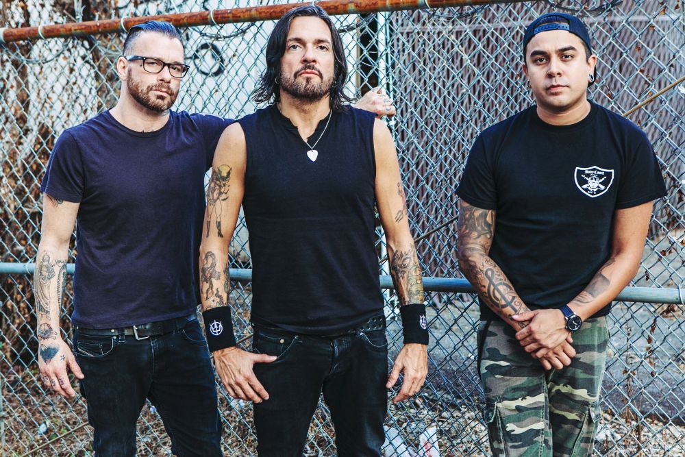 PRONG NOABSOLUTES 3