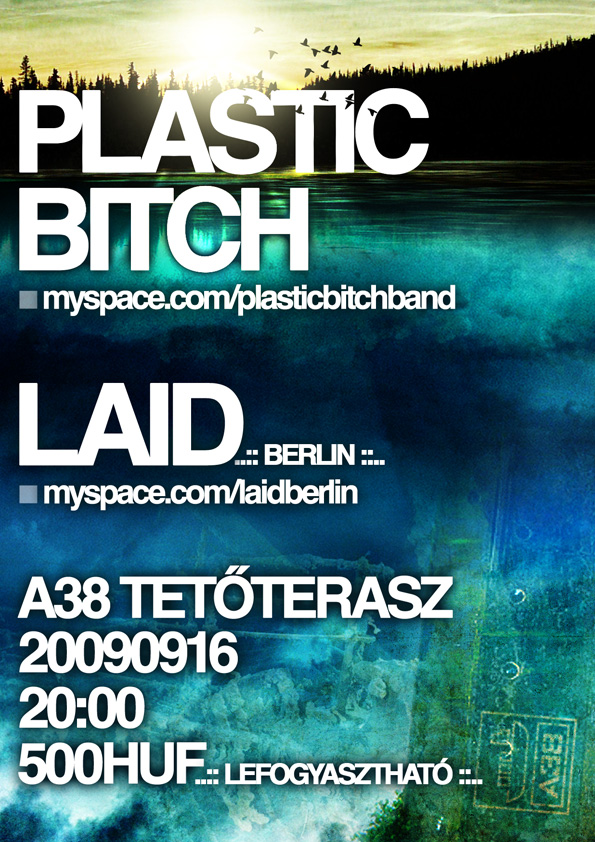Plastic Bitch buli az A38-on