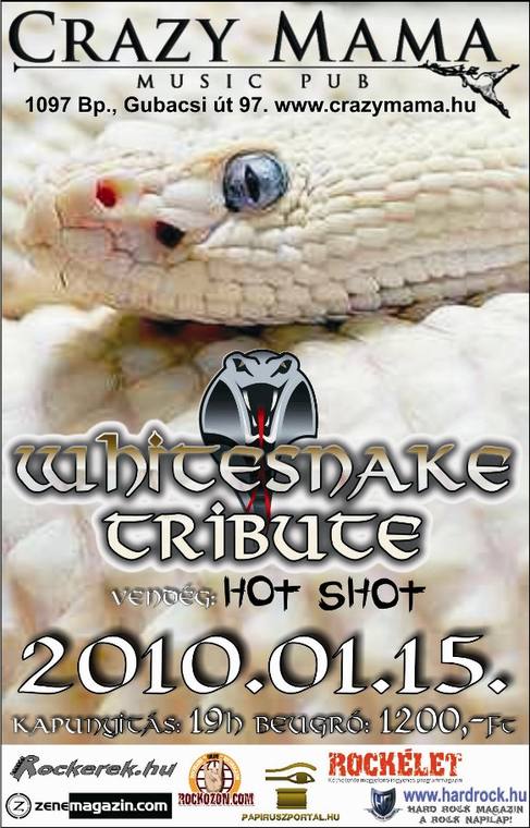 A „Fehér Kígyó” (Whitesnake Tribute Band) újra a Crazy Mama színpadán!