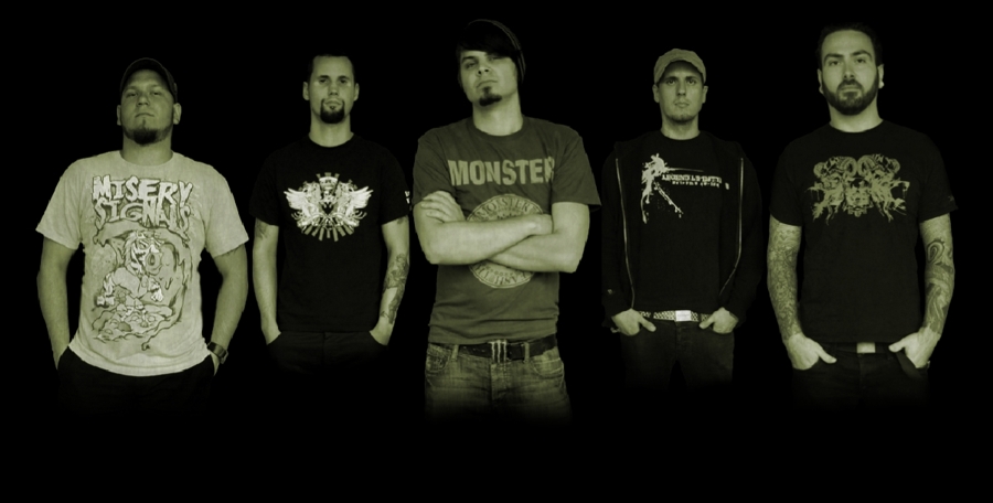 Insane - Új Gitáros