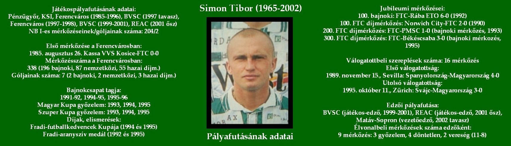 simon_palyafutas