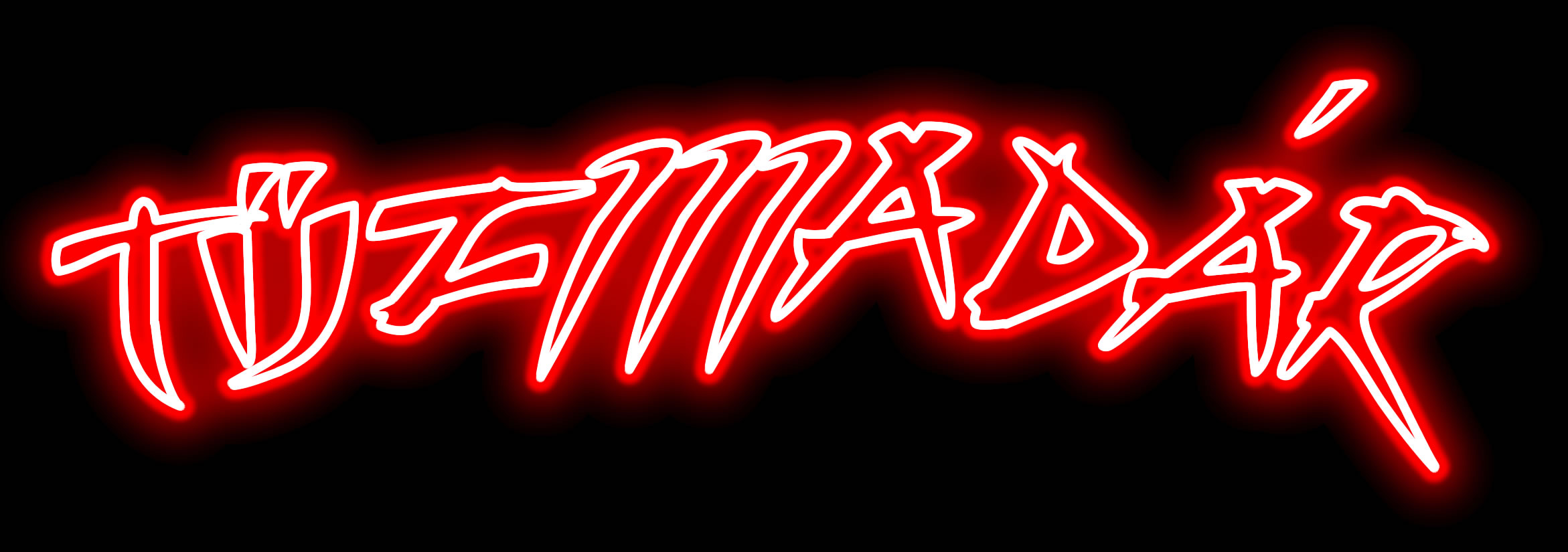 Tűzmadár: Pannónia fesztivál, Metalfest, Álmok...