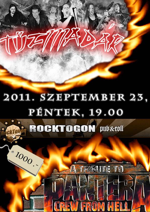 Tűzmadár - ma a Rocktogonban