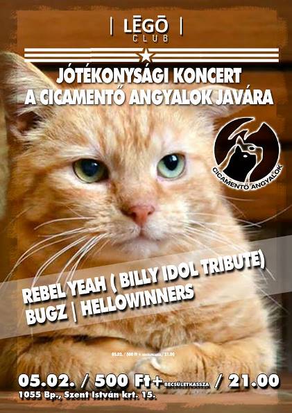 Jótékonysági koncert a Cicamentő Angyalok javára a Légóban