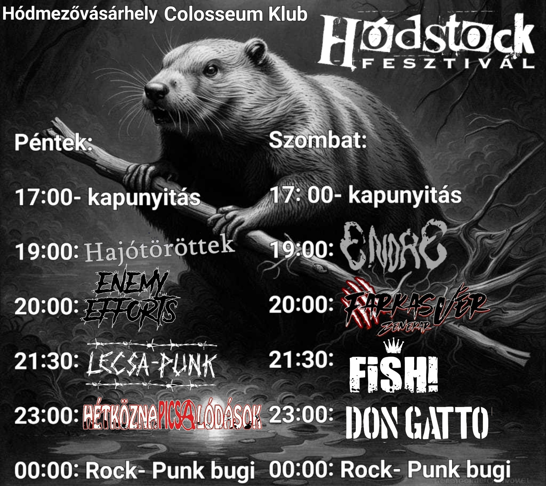 Hódstock fesztivál- Most hétvégén Hódmezővásárhelyen.