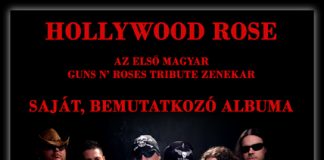 Hollywood Rose Minimal Design