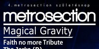 metrosectionp_flyer