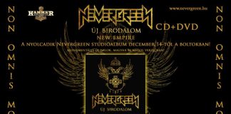 20100116_-_nevergreen_flyer