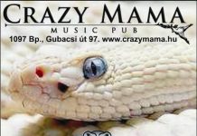 A „Fehér Kígyó” (Whitesnake Tribute Band) újra a Crazy Mama színpadán! cm100115flyer
