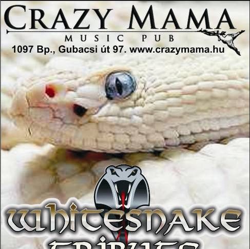 A „Fehér Kígyó” (Whitesnake Tribute Band) újra a Crazy Mama színpadán! cm100115flyer