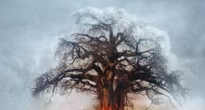amorphis_-_skyforger