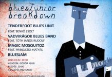 bluesjunior