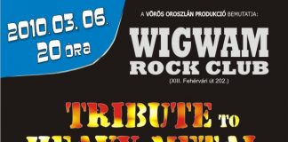thm_feszt_banner_plakat