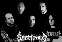 sectioned01