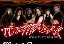 Tűzmadár – Crazy mama, új videoklipp, Hegyalja fesztivál, új koncertek! crazymama20100416_allo