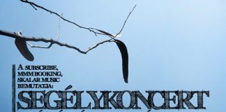 100618_durer_segely