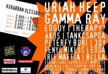 fezen2010_a5_ll_hirdets_20100607_flyer_web_001