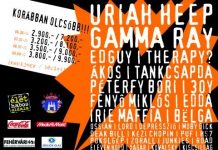 fezen2010_a5___ll___hirdet__s_20100607_flyer_web_001