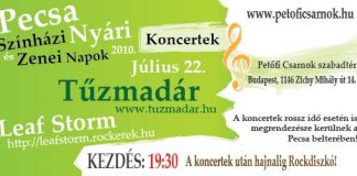 pecsa_2010_julius22_rockozon.hu_530x250_banner-01