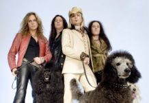 poodles_main_01