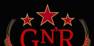 2010-gnr-logo