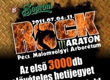 20101112-rockmaraton