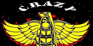 20101123_crazy_granat