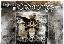 Cadaveres: November 27-én boltokban a Mindstream 20101125-powerground_web_flyer