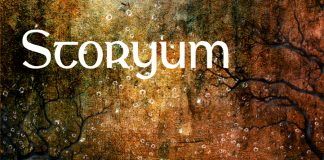 20101125-storyum_borito