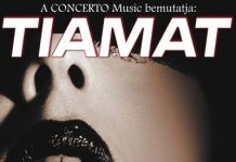 20101202_tiamat_flyer