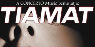 20101202_tiamat_flyer