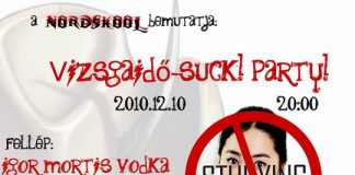 20101206_nordskool