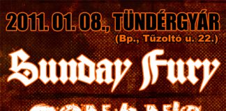 20110104_tundergyar_flyer