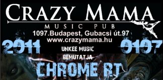 20110107-crazy-mama-flyer