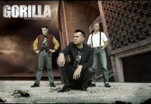 Gorilla – Új dalok a láthatáron 20110207_gorilla