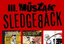 20110213_sledgeback