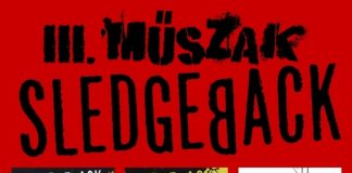 20110213_sledgeback