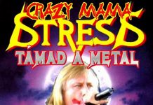 20110416_stress