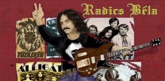 radics_20110418