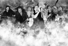 Tűzmadár – Májusi hírlevél 20110504_tuzmadar