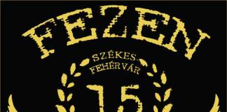 fezen_15_webcolor_500x408