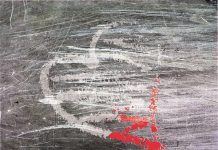 romanek_airlines-cover