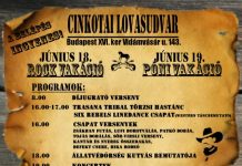 Rock Vakáció a Cinkotai lovasudvarban lovasketnapos2