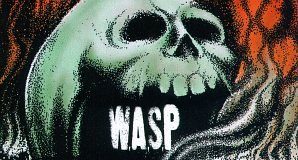 wasp_20110628