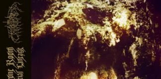 wolves_20110726