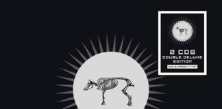 SuperbuttMusicForAnimals