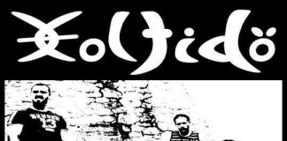 viperroom holtido