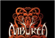 Niburta interjú 16 órától 216358 196749390367112 125338880841497 467194 7267708 n